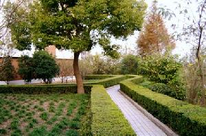 上海大學巴士汽車學院