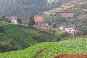 沙勞園村 沙勞園村