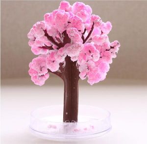 魔法櫻花 魔法櫻花