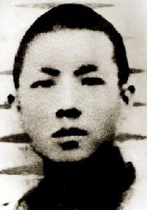 節振國[冀東抗日民族英雄]