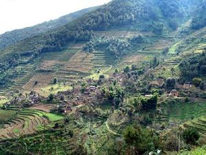 小立坡村 小立坡村