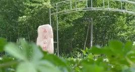 南豆公村[河北省邯鄲市成安縣辛義鄉下轄村]