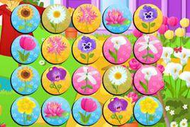 花朵記憶遊戲 花朵記憶遊戲
