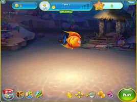 夢幻水族箱 夢幻水族箱