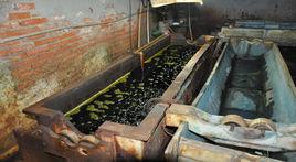 電鍍廠污水處理 電鍍廠污水處理