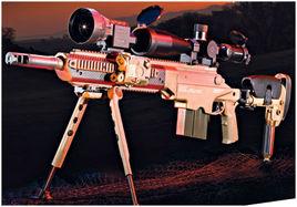 AshburyASW338狙擊步槍 AshburyASW338狙擊步槍