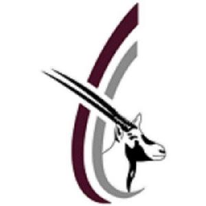 阿布達比統一足球俱樂部