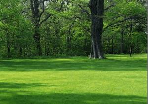 （圖）春天美景