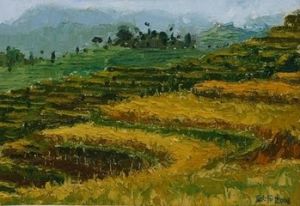 梯田油畫