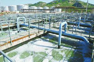 陝西延長石油(集團)有限責任公司