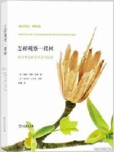 怎樣觀察一棵樹 怎樣觀察一棵樹