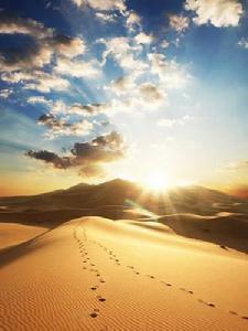 沙漠氣候 沙漠氣候