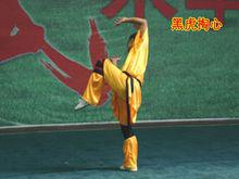 虎拳[中國傳統武術流派之一]