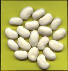 大白芸豆 大白芸豆