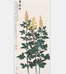 蓬生麻中 蓬生麻中