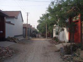 西辛城村 西辛城村