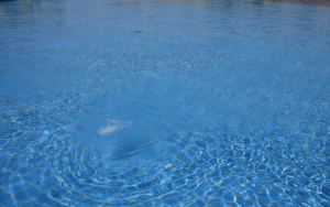 幸福家園會所 幸福家園會所