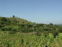 窪子底自然村 窪子底自然村