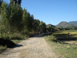 天子莊自然村 天子莊自然村