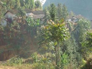 竜嘎自然村 竜嘎自然村