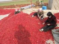 西賈鄉[山西省襄汾縣]