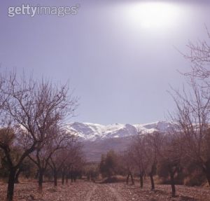 安達盧西亞山脈 安達盧西亞山脈