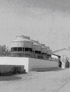 中策集團 中策集團