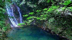 浙江五泄國家森林公園