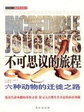 不可思議的旅程