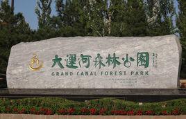 大運河通州森林公園