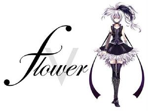 v_flower v_flower