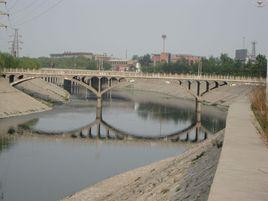 鯨背觀瀾 鯨背觀瀾