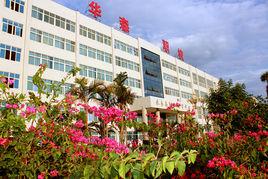 華森職業學校 華森職業學校