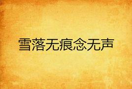 雪落無痕念無聲 雪落無痕念無聲