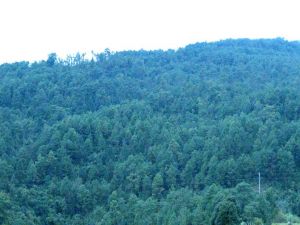 以象山自然村 以象山自然村