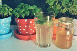 薑汁汽水 薑汁汽水