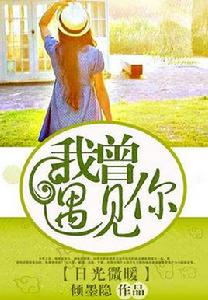 日光微暖:我曾遇見你 日光微暖:我曾遇見你