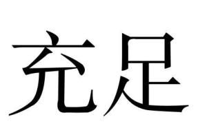 充足 充足
