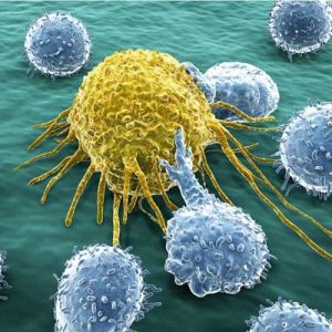 致病因子 致病因子