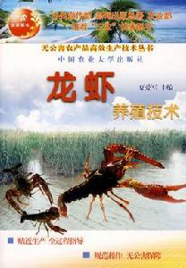 龍蝦養殖技術 龍蝦養殖技術