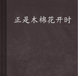 正是木棉花開時 正是木棉花開時