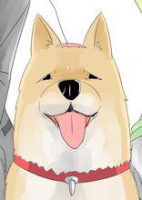 一條狗[使徒子原創的國產漫畫]