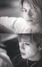 月光遊俠的劇照