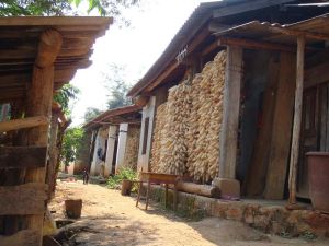 石水牛自然村 石水牛自然村