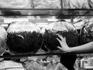 加料海參 加料海參