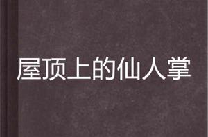 屋頂上的仙人掌 屋頂上的仙人掌