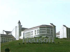 東軟集團有限公司 東軟集團有限公司