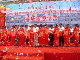 泊江海子鎮 泊江海子鎮