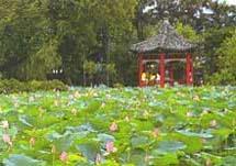 台北市植物園