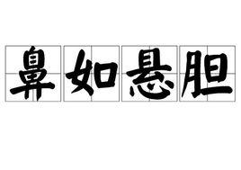 鼻如懸膽 鼻如懸膽